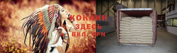 дурь Бронницы