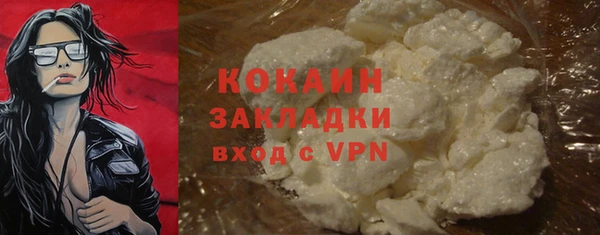 дурь Бронницы
