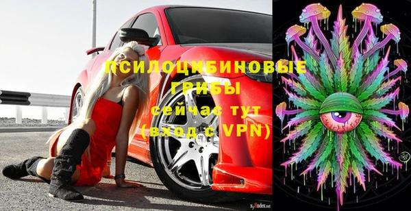 прущие грибы Бородино