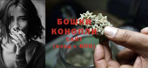 прущие грибы Бородино