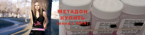 прущие грибы Бородино