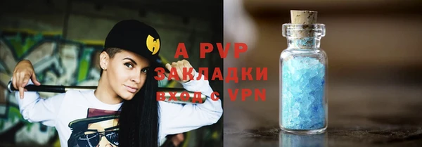 прущие грибы Бородино