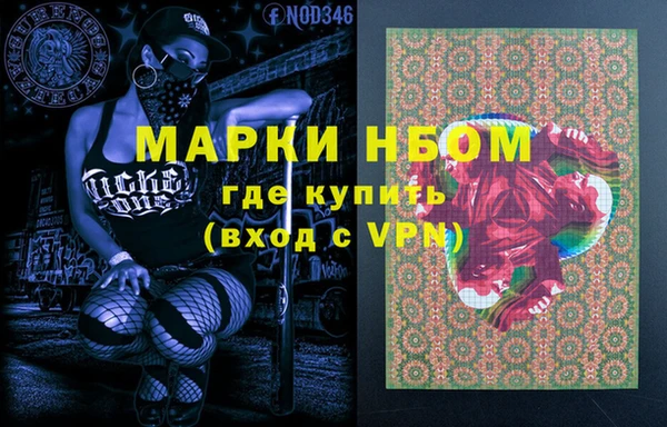 прущие грибы Бородино