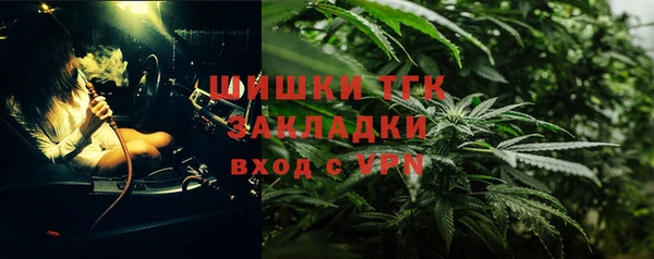 дурь Бронницы